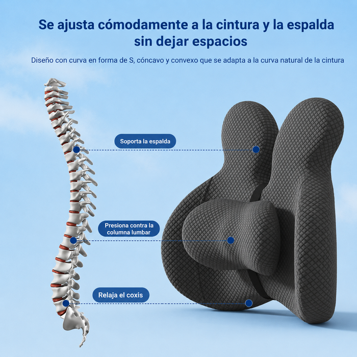 VisConfort™ – Pack Ergonómico Lumbar y Cojín Asiento